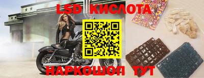 jwh Ирбит